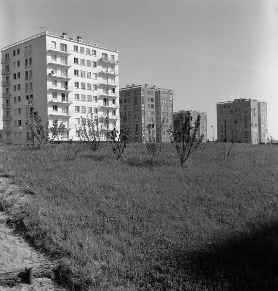 Tours aux Cornillettes, 1965. (Ministère de l'écologie, de l'énergie, du développement durable et de l'aménagement du territoire, 42536-5).