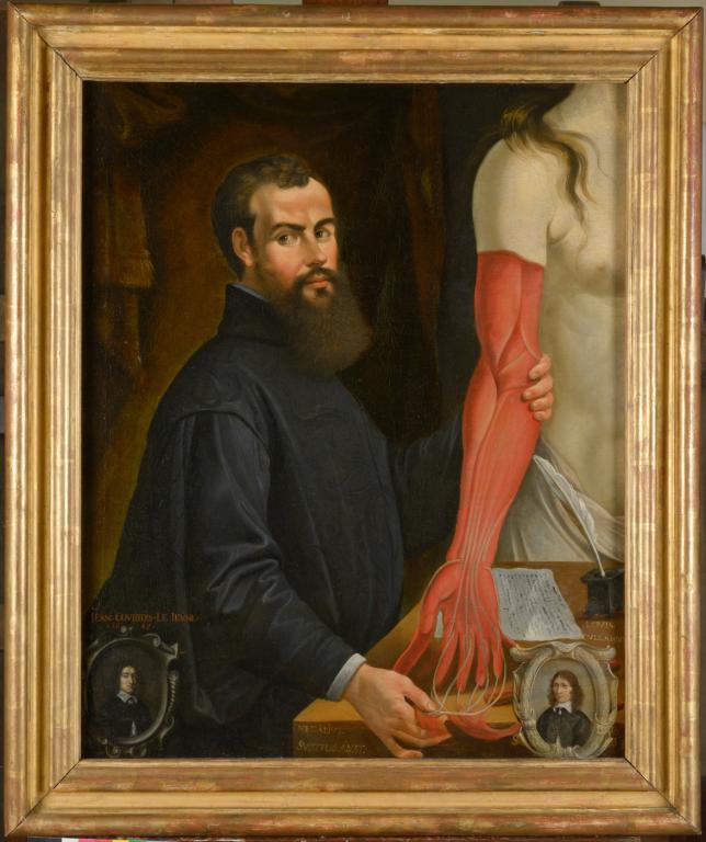Tableau : portrait d'André Vésale (1514 ou 1515-1564)