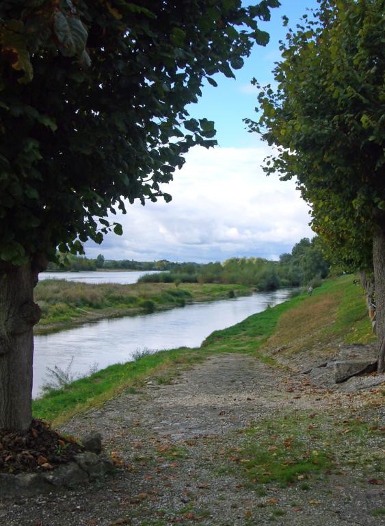 Vue d'ensemble de la cale orientée vers l'aval.