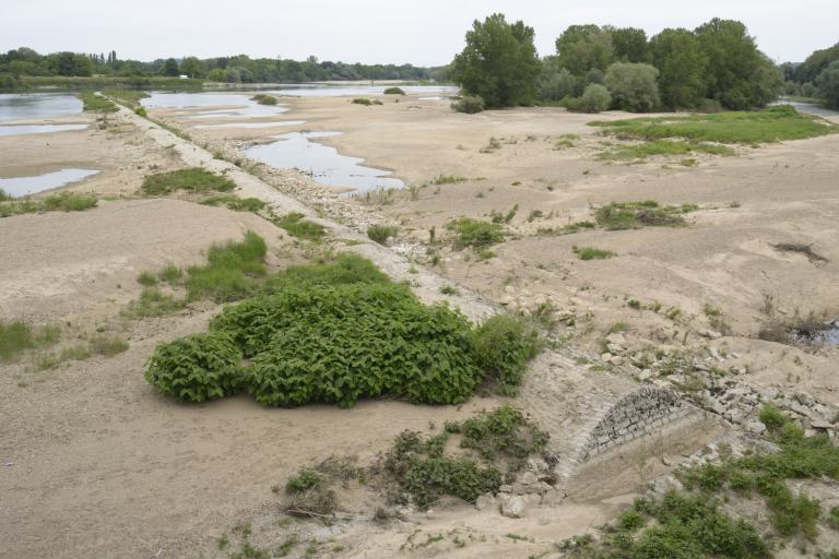 Epi de Givry Fourchambault. Vue d'ensemble prise vers l'aval depuis le pont. L'épi est coupé (premier plan).