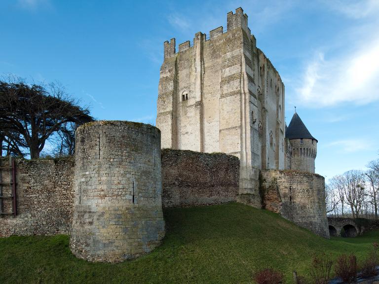 Tour de Mondoucet et donjon, vue du sud-est.