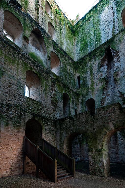 Donjon, intérieur, vue du nord.