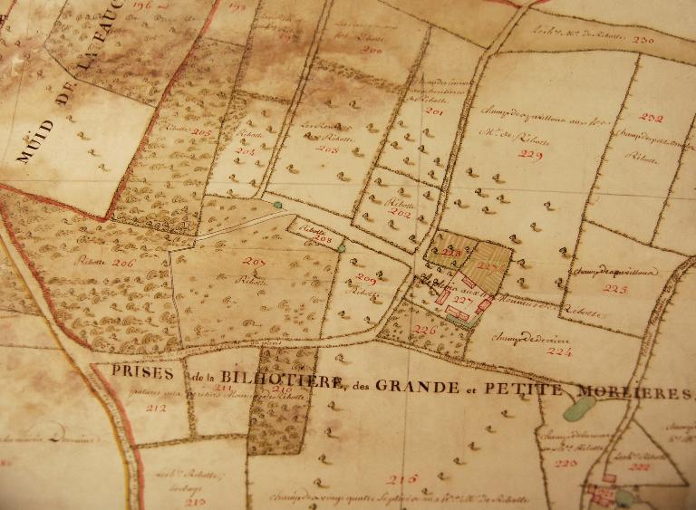 Extrait du plan géométrique de la seigneurie de Gardais, réalisé par Canuël en 1759.