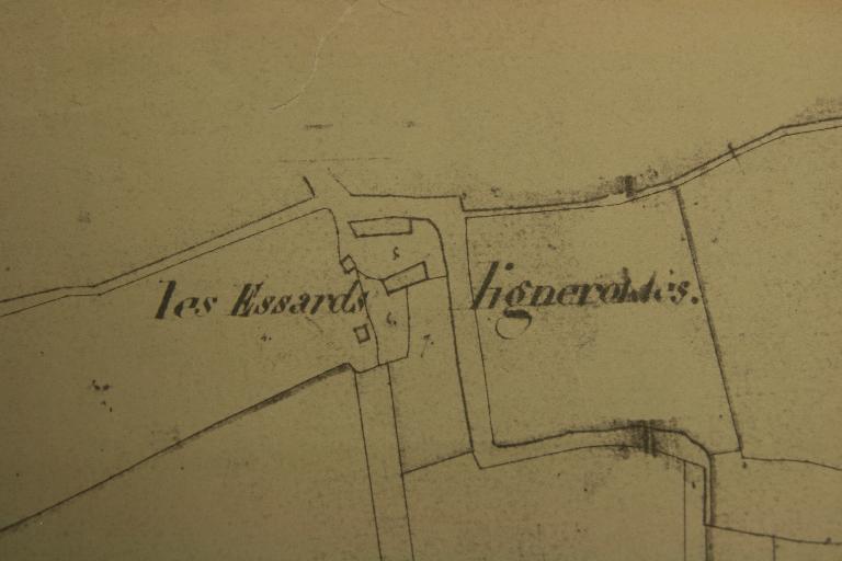 Extrait du plan cadastral de 1813, section I1 (AD d'Eure-et-Loir, 3 P 6748 - 6766).