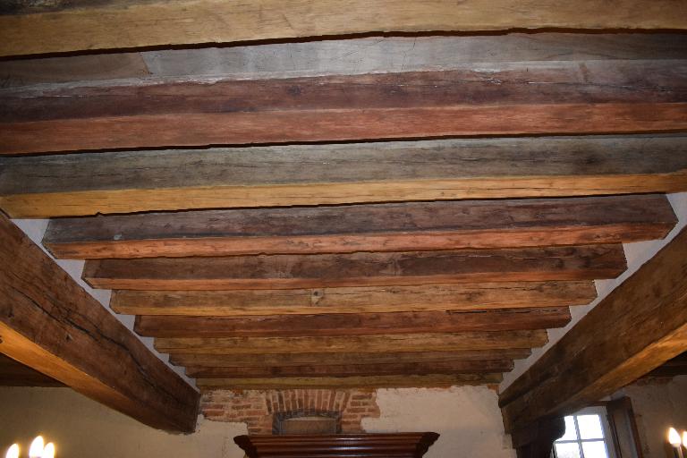 Intérieur, salle, vue du détail du plancher conservant des traces de polychromie sur les solives.