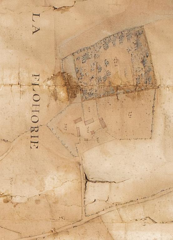 Extrait du plan géométrique des seigneuries de Frazé, du Châtelier, de La Ferrière et de La Flohorie dressé en 1767.