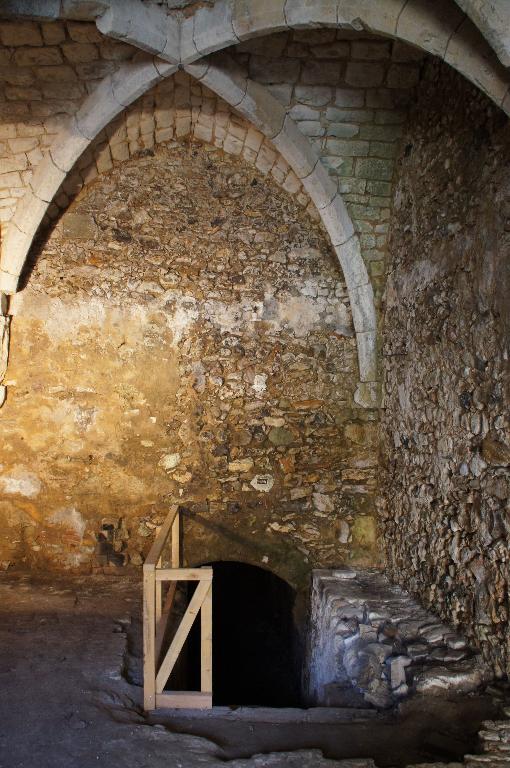 Vue intérieure, rez-de-chaussée, salle, entrée de la cave, mur est.