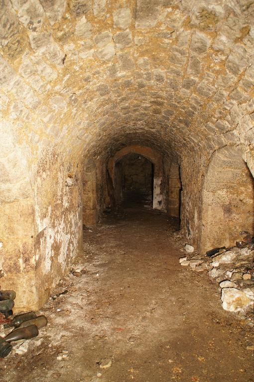 Vue intérieure, rez-de-chaussée, cave, vue de l'est.