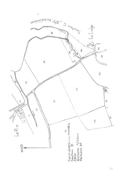 Reproduction du plan cadastral de 1811, Section D, échelle 1/2500, Parcelle 71.