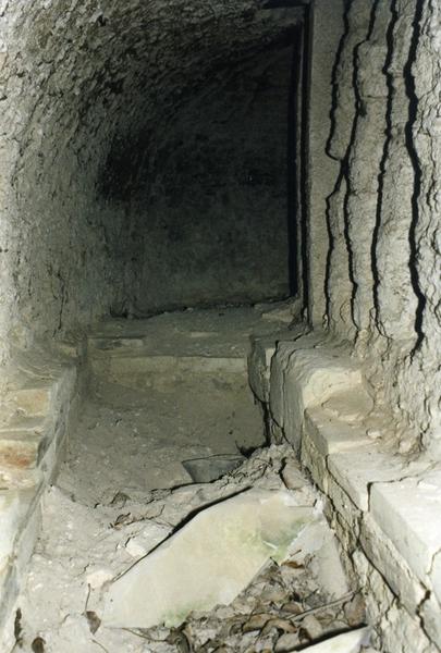 Foyer de gauche et carneau ceinturant la cuve, système courtois.