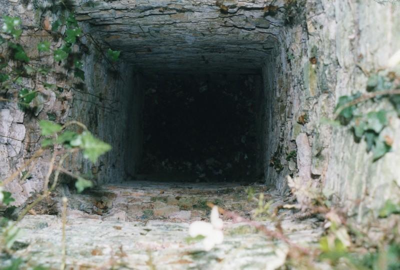 Cuve, au fond carnau du foyer Sud.