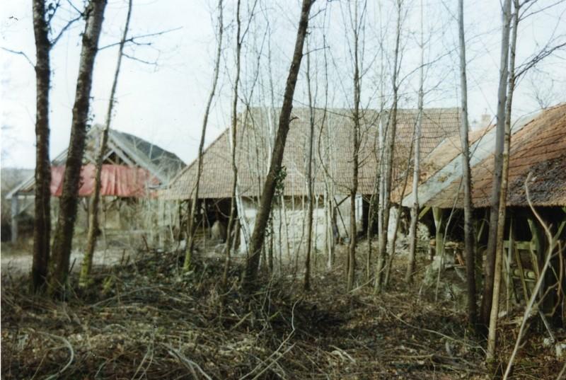 Site Ouest, face E du site (à gauche, le hangar qui suit).
