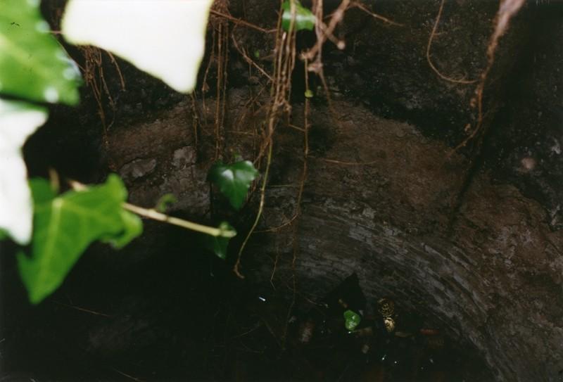 Four à chaux, cuve et détritus.