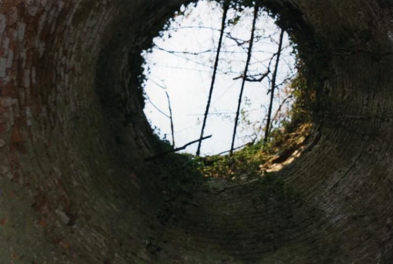 Cuve, vue du foyer.