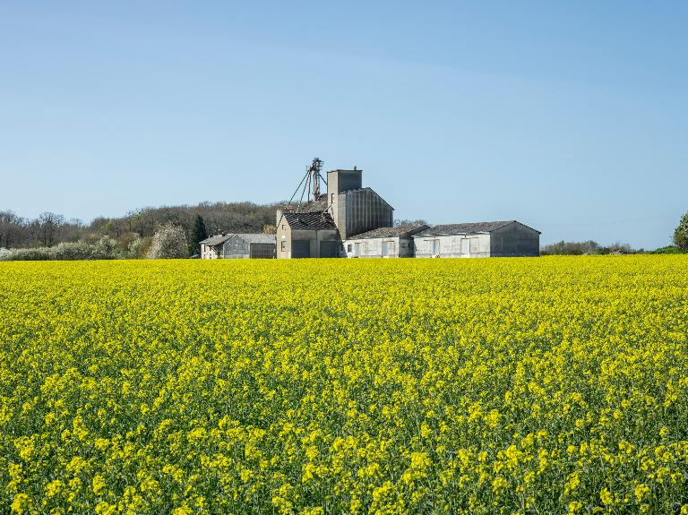 Coopérative agricole (au nord-est du bourg, à côté de la gare).