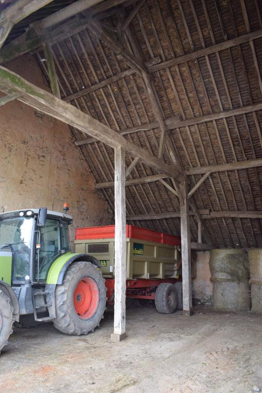 Hangar agricole, vue partielle de la charpente.