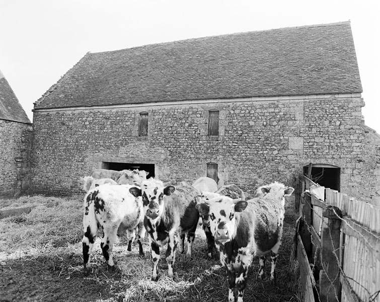 Pressoir. Elévation extérieure ouest.