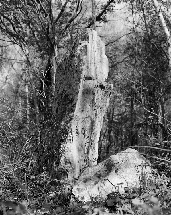 Vue d'ensemble. ; Saint-Germain-le-Vasson, le Peugray : menhir dit de la Pierre Piquet.