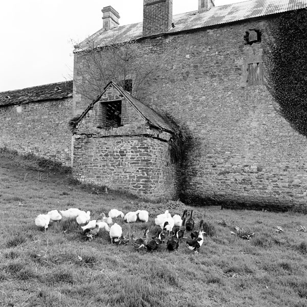 La Hupperie. Ferme de la Hupperie. Le four à pain. ; Ferme de la Hupperie. Le four à pain.