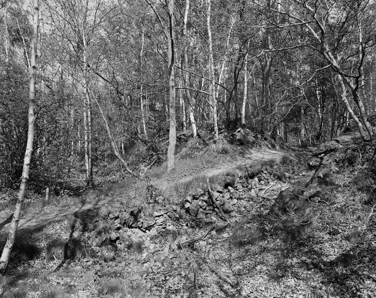Entrée vue de l'ouest. ; Bretteville-sur-Laize, Bois d'Alençon : édifice fortifié dit Enceinte de la Bijude.