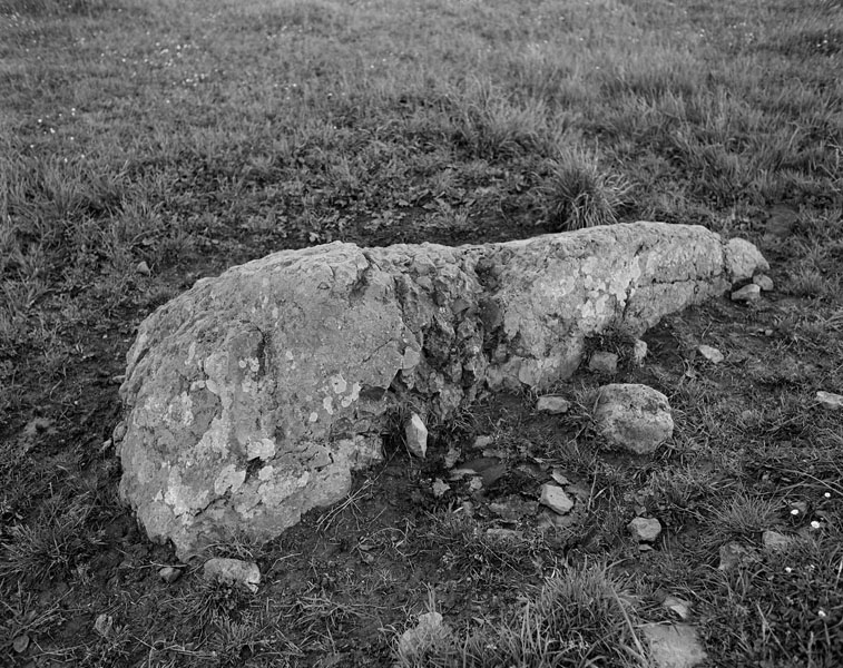Menhir dit Pierre Tournante
