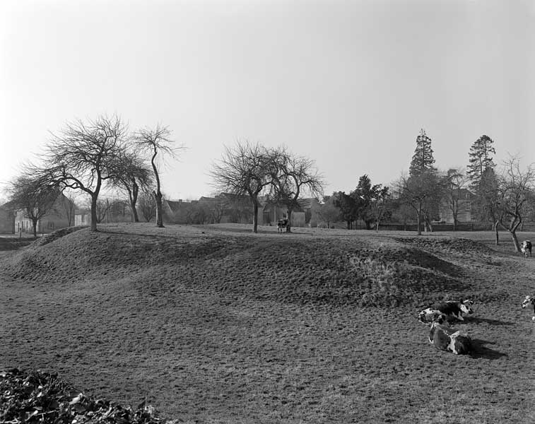 Motte.