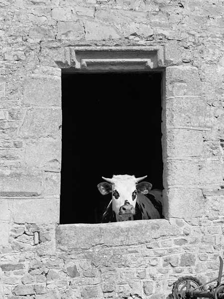 La Motte. Ferme. Etables, baie réemployée.