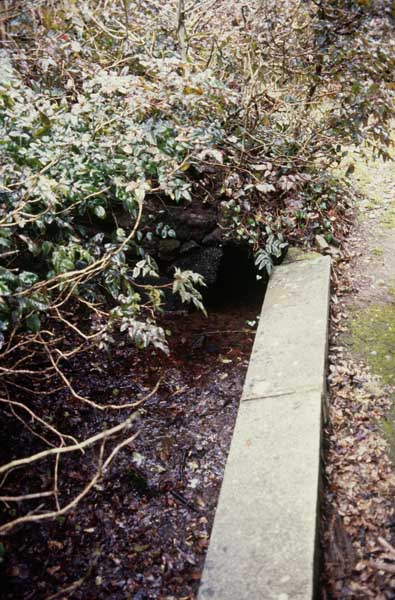 Canal de décharge (2).