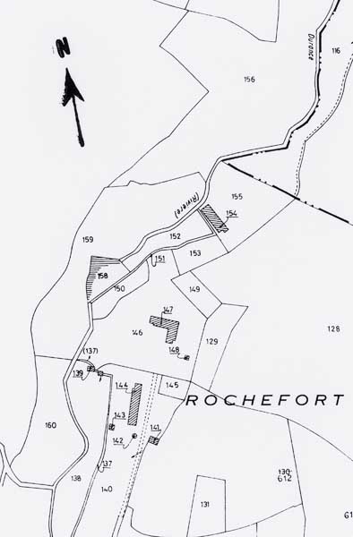 Extrait du plan cadastral de la commune de Tinchebray, section D1.- Plan cadastral, échelle 1/25000ème.