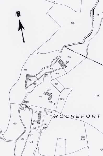 Extrait du plan cadastral de la commune de Tinchebray, section D1.