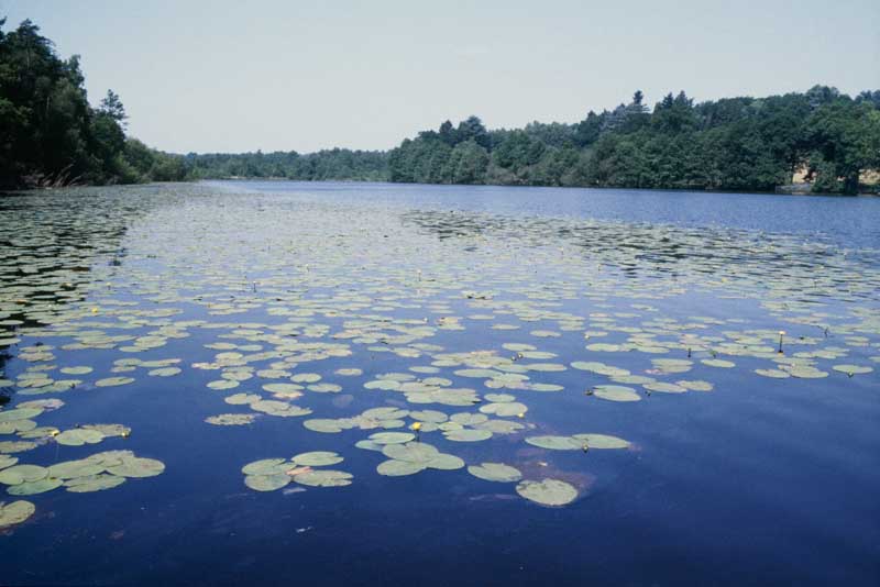 Réservoir, vue prise du sud-est.