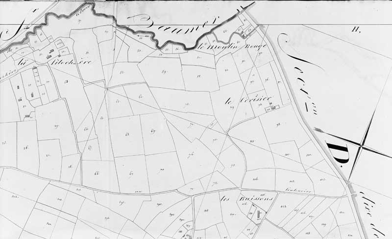 Extrait du plan cadastral de la commune du chatellier, Section C.- Plan cadastral, 1810. (AD Orne. 3P2 102).