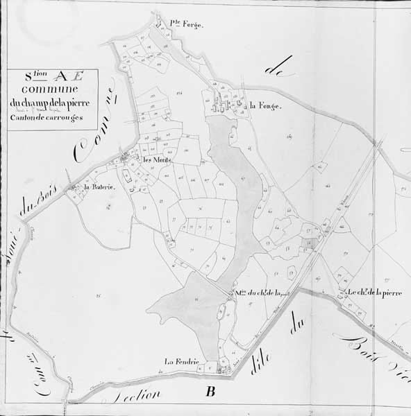 Extrait du plan cadastral de la commune du Champ-de-la-Pierre, section C, vers 1825 (AD Orne. 3P2 085).