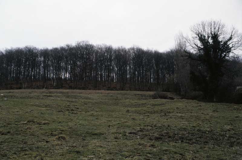 Mittois, la Tuilerie. Tuilerie : vue de situation prise du sud.
