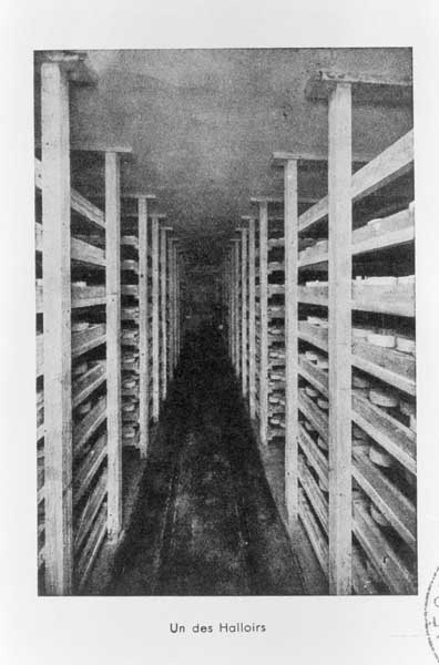 Un des hâloirs.- Photographie ancienne, 1937, tiré de : Barbery, Fromagerie, fabrication du camembert par M. Bourdon. / Association normande pour les progrès de l'agriculture, de l'industrie, des sciences et des arts, 1937.