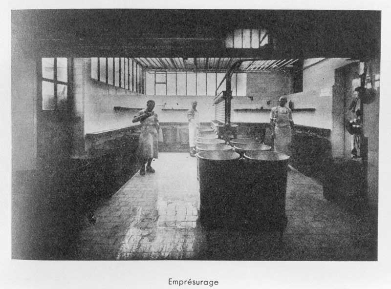 Emprésurage.- Photographie ancienne, 1937, tiré de : Barbery, Fromagerie, fabrication du camembert par M. Bourdon. / Association normande pour les progrès de l'agriculture, de l'industrie, des sciences et des arts, 1937.