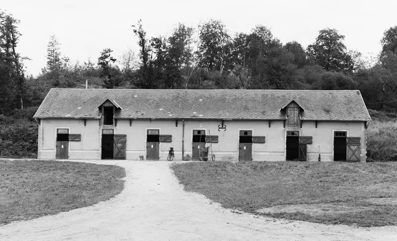 Haras, vue d'une écurie double.
