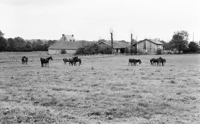 Manoir, vue d'ensemble côté ouest.