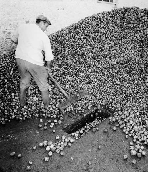Conduit de distribution des pommes depuis la cour vers la distillerie.