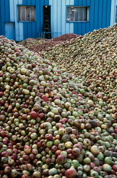 Aire des matières premières, pommes.