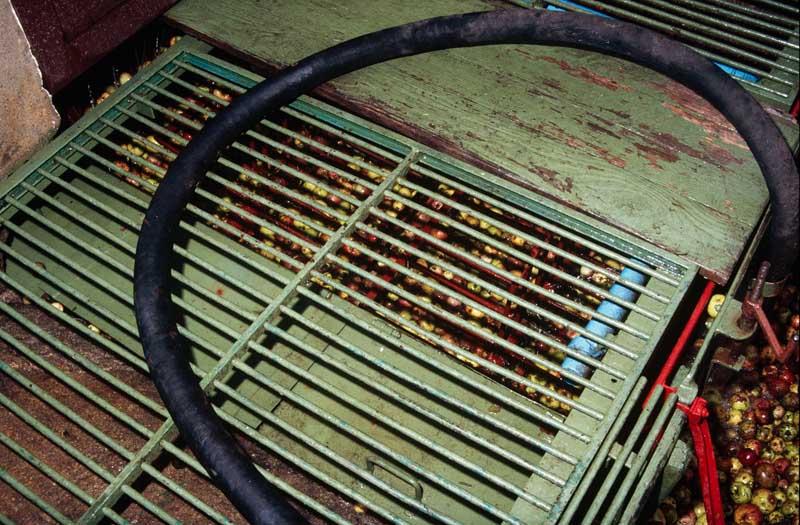 Grille de filtrage des pommes.