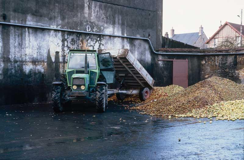 Livraison des pommes.