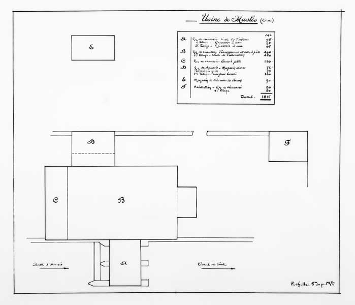 Usine de Masles (Orne).- Plan, s.d. (Collection particulière).