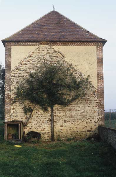 Logement d'ouvriers, élévation extérieure est.