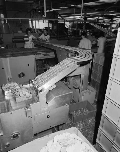 Chaîne de convoyage des biscuits vers le poste d'empaquetage.