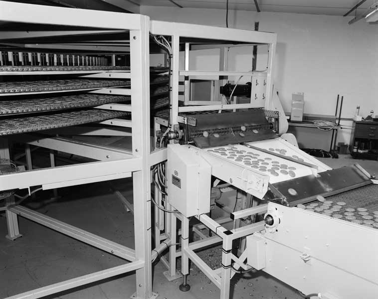 Refroidissement des biscuits et convoyage vers le poste d'enrobage de chocolat.