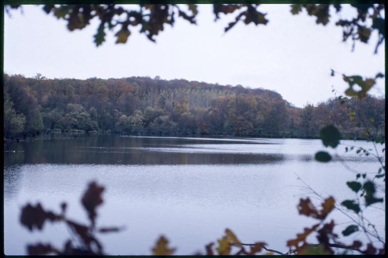 Bassin de retenue dit étang de la fenderie. Vue prise du nord-ouest.