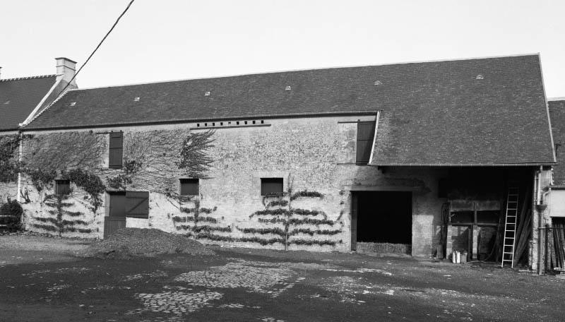 Etable à chevaux et fenil.