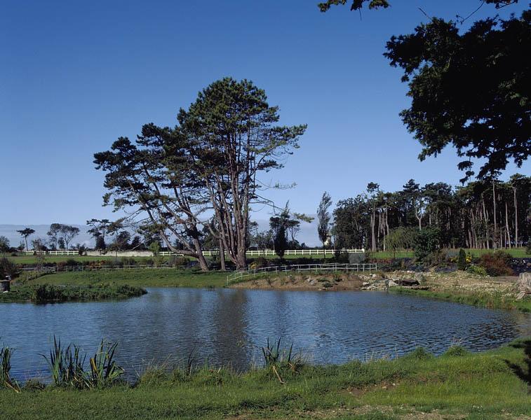 Jardin paysager vu depuis la façade ouest du logis.
