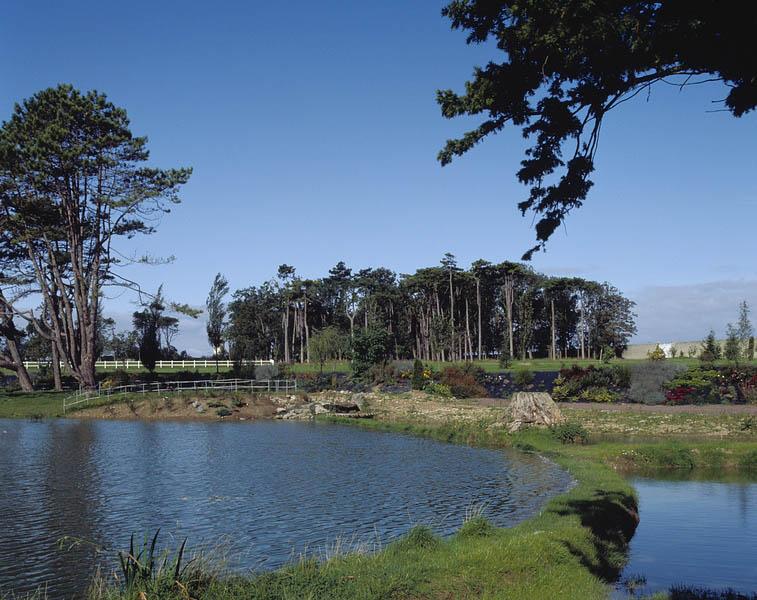 Partie sud du jardin paysager.